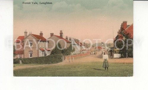 Postcard forest vale - forest,