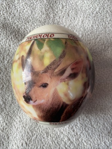 Ostrich egg decorative - ostrich,