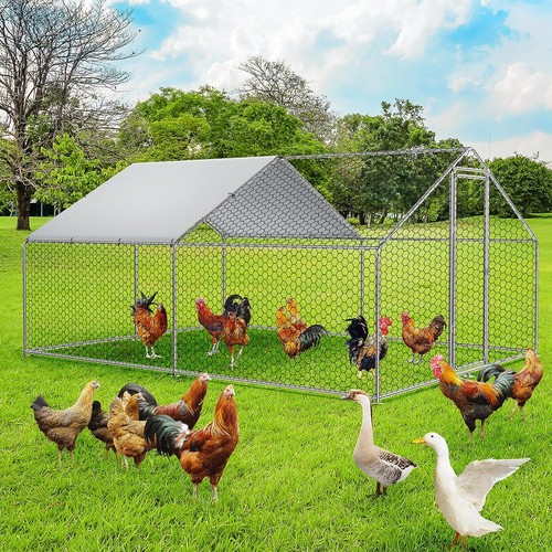 Peaked large walk metal - peaked,