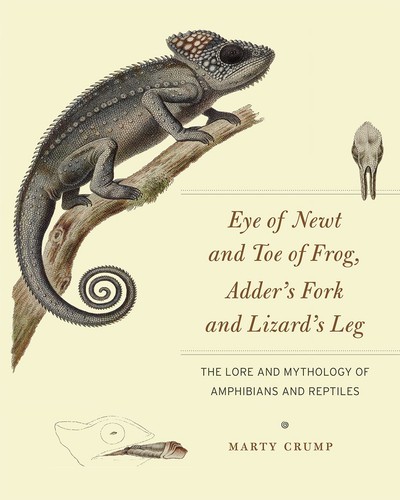 Eye newt and toe frog - and,