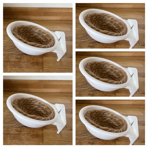 10cm canary nest - 5,
