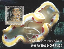 (206328) Marine Life, Clam