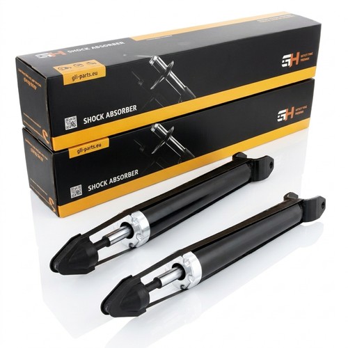 Gas shock absorbers rear - 2x,