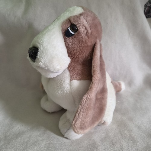 Hush puppies basset - basset, dog