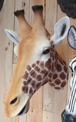 Large giraffe wall - giraffe, head