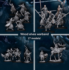 Wood Elves Warband - Davale