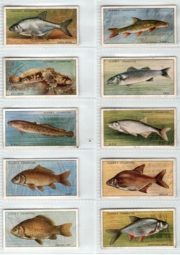 Players fresh water fishes - fresh-water,