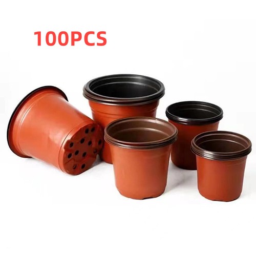200 pieces plastic - pieces, plant