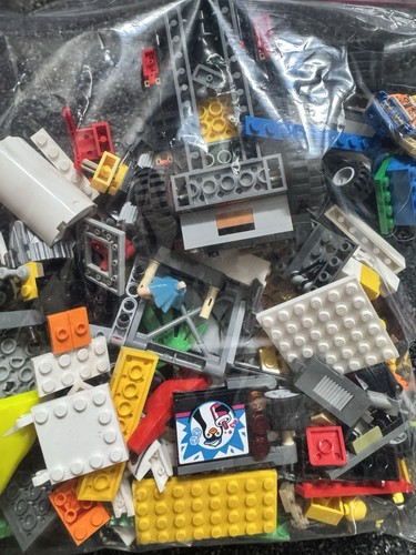 Assorted lego bricks 500g pack - 500g,