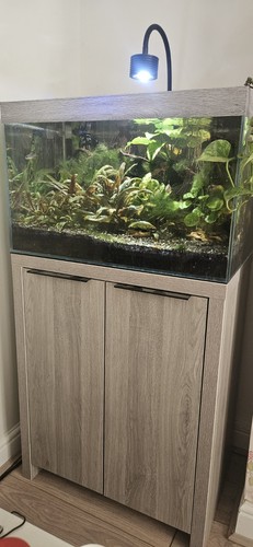 Supafish scaper l - scaper, 90