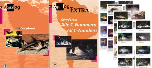 Aqualog all corydoras - all,