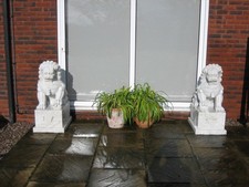 Lions Solid Marble (Foo Dogs)