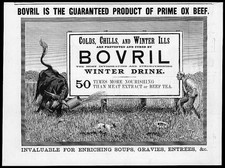 1892 Antique Print -