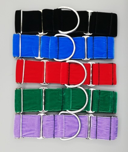 Velvet martingale dog collar - martingale,