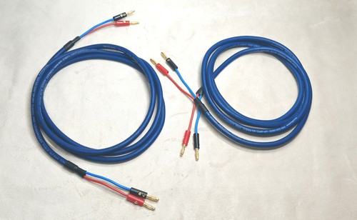 Van damme blue series - van,