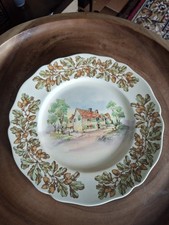 Vintage Royal Doulton Plate