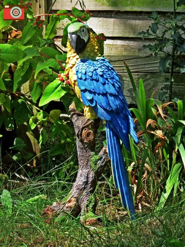 Yellow macaw figure large - yellow,