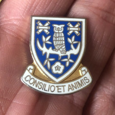 RARE SHEFFIELD WEDNESDAY CREST ENAMEL PIN BADGE