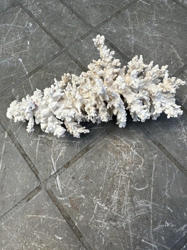Vintage piece dried - of, white