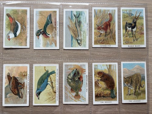 Complete set wills - set, of