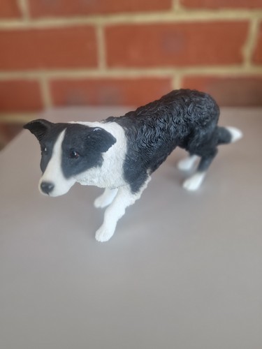 Black white border collie - black,