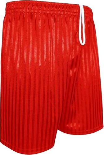 Shadow stripe sports shorts - stripe,