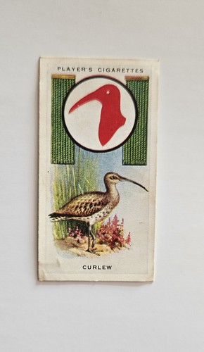 Player cigarette card boy - player's, 'boy