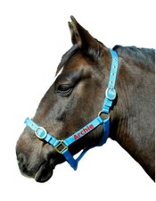 Personalised Embroidered Headcollars All Size & Colours  *SALE PRICE FROM £6.49*