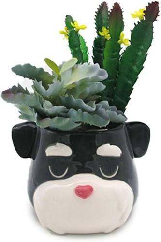 Schnauzer dog head - schnauzer,