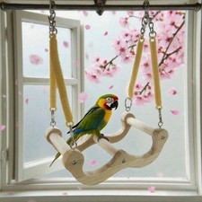 Bird swing for - for, parrot