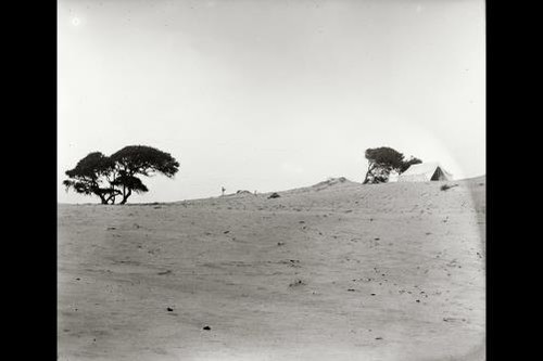 Photo kitty hawk north - photo:kitty,