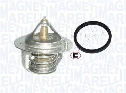 Magneti marelli coolant - magneti,