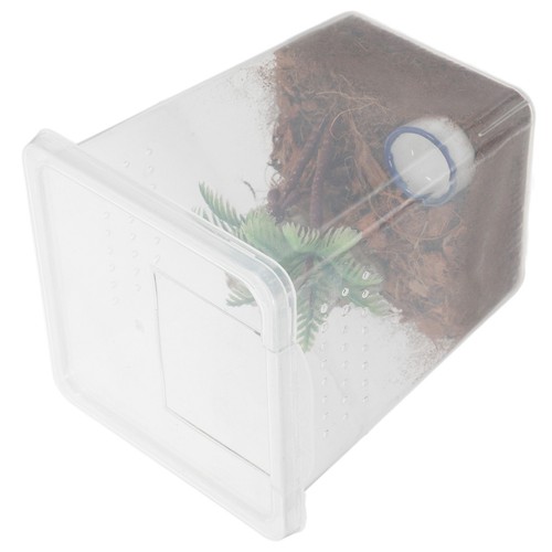 Small transparent spider - small,