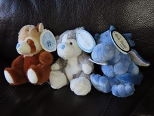 Three Blue Nose Friends, with