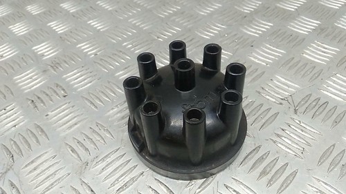 Triumph stag dizzy - stag, cap