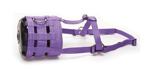 Grazing muzzle padded nose - grazing,