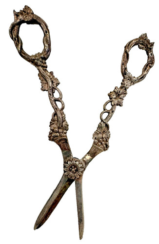 Antique silver grape scissors