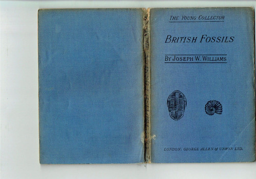 British fossils where to - fossils,