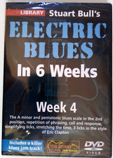 Electric Blues In 6 Weeks with