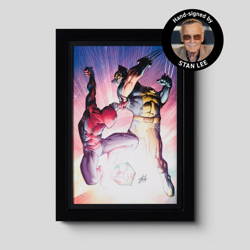 Signed stan lee limitied - stan,