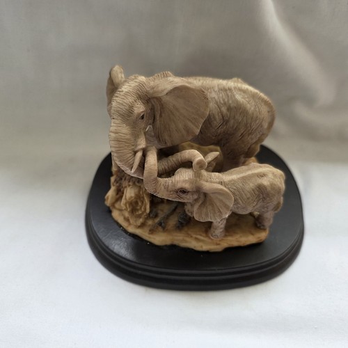 African elephant baby - ,
