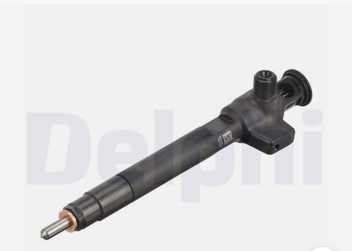 Delphie fuel injector - fuel,