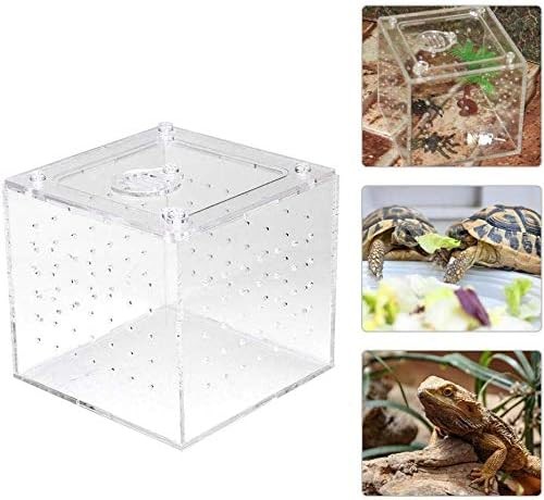 Acrylic reptile breeding box - breeding,
