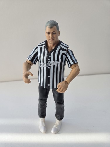 Wwe shane mcmahon wrestling - shane,