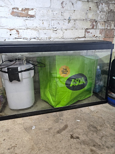Standard rectangle glass - rectangle,