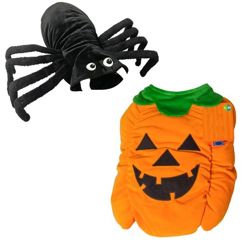 Halloween dog costume - halloween,