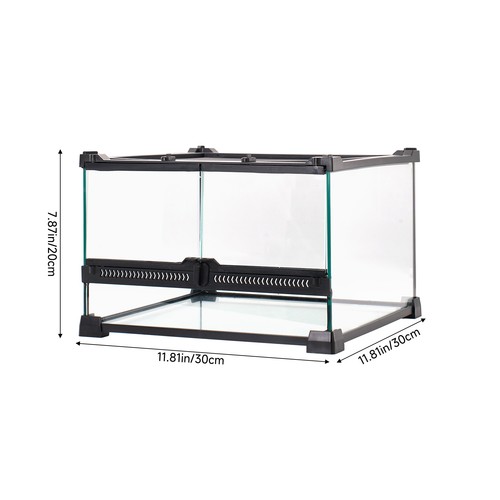 Glass terrarium reptile - glass,