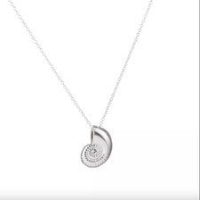 Silver Plated Conch Fossil