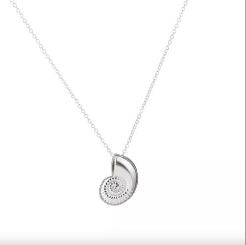 Silver plated conch - conch, fossil