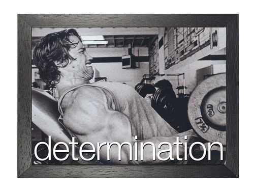 Determination arnold - determination,